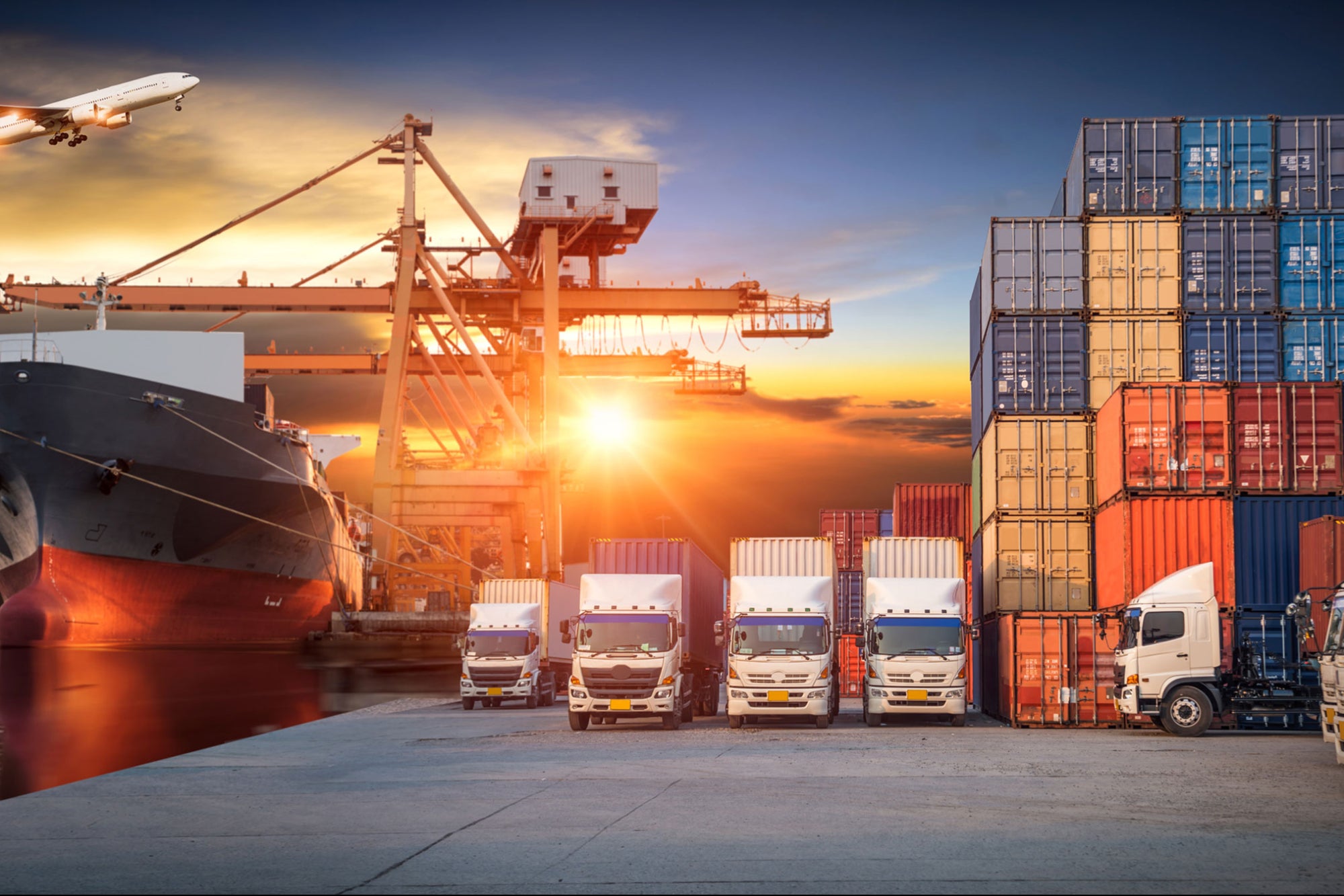 شرکت هدی تجارت بین المللی دشتی